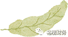 微信图片_20230915145349_1.png