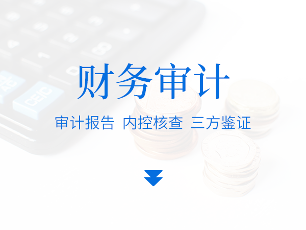 财务审计